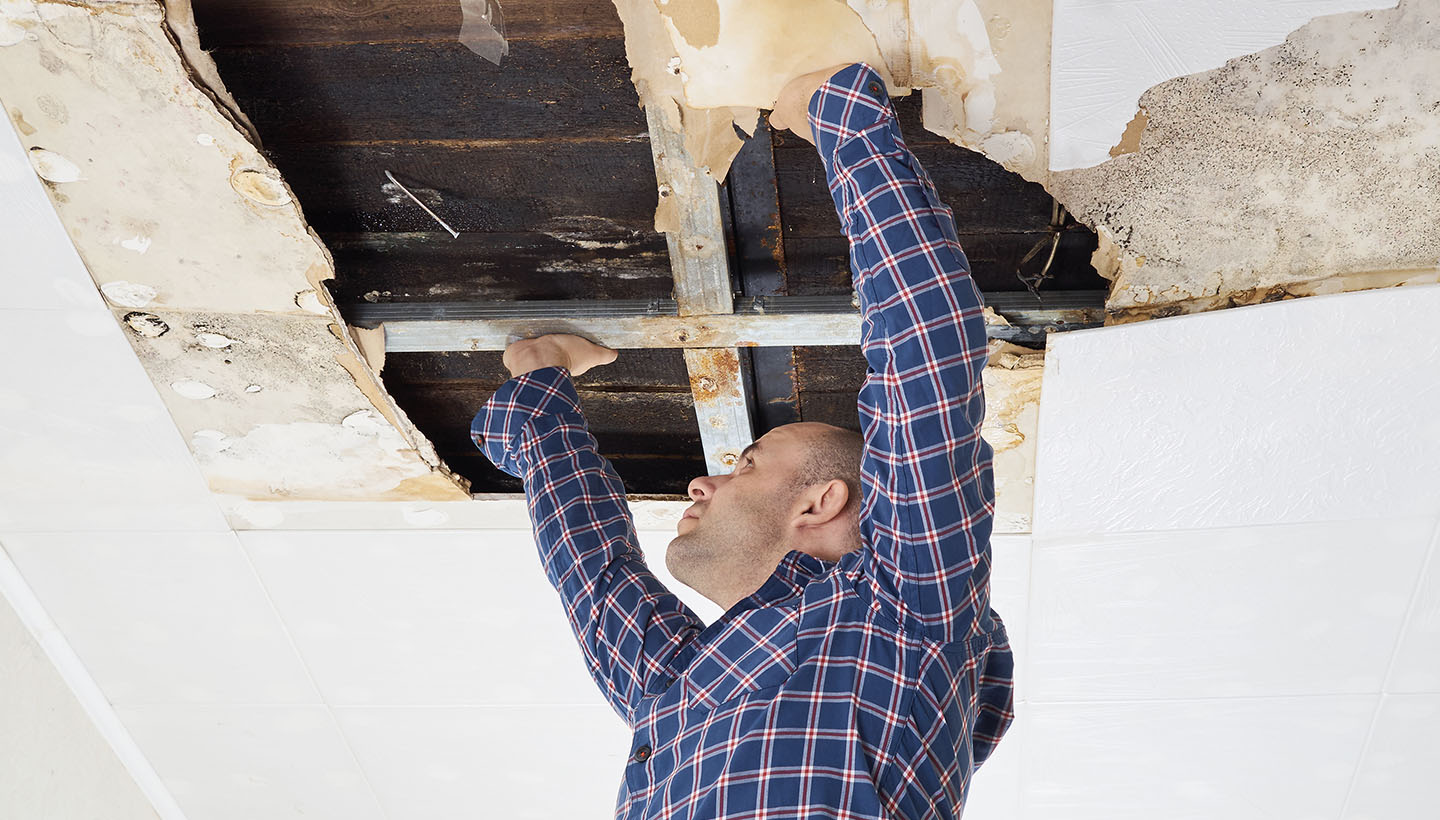 mold inspector inspecting ceiling