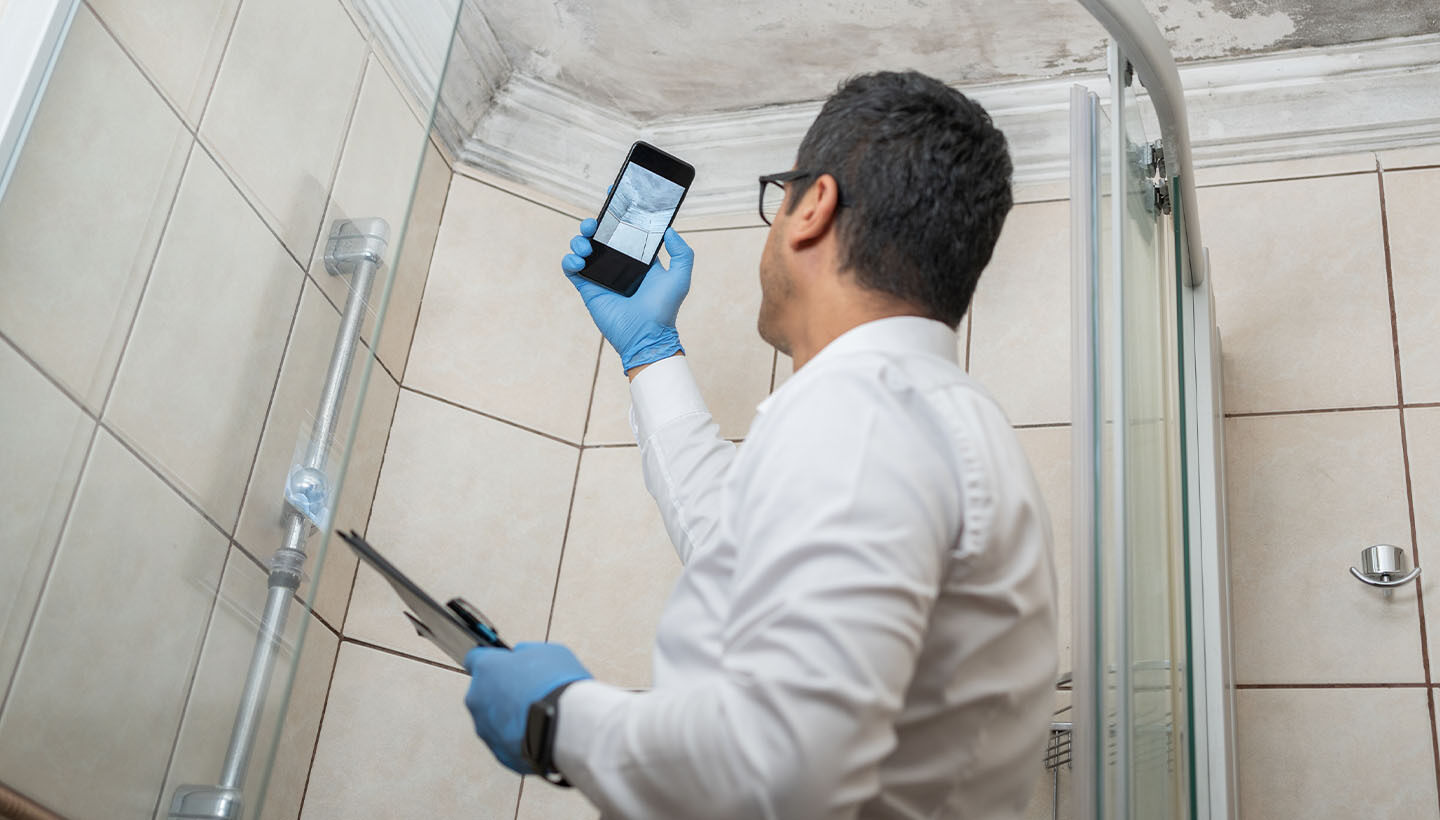Mobile home inspection requires a close eye for detail. Beware of mold!
